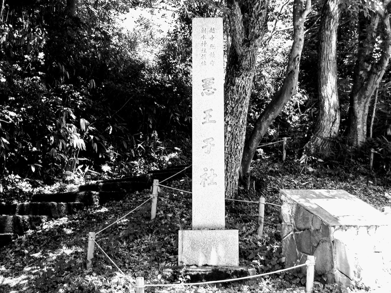 越中総鎮守射水神社摂社・悪王子社①
