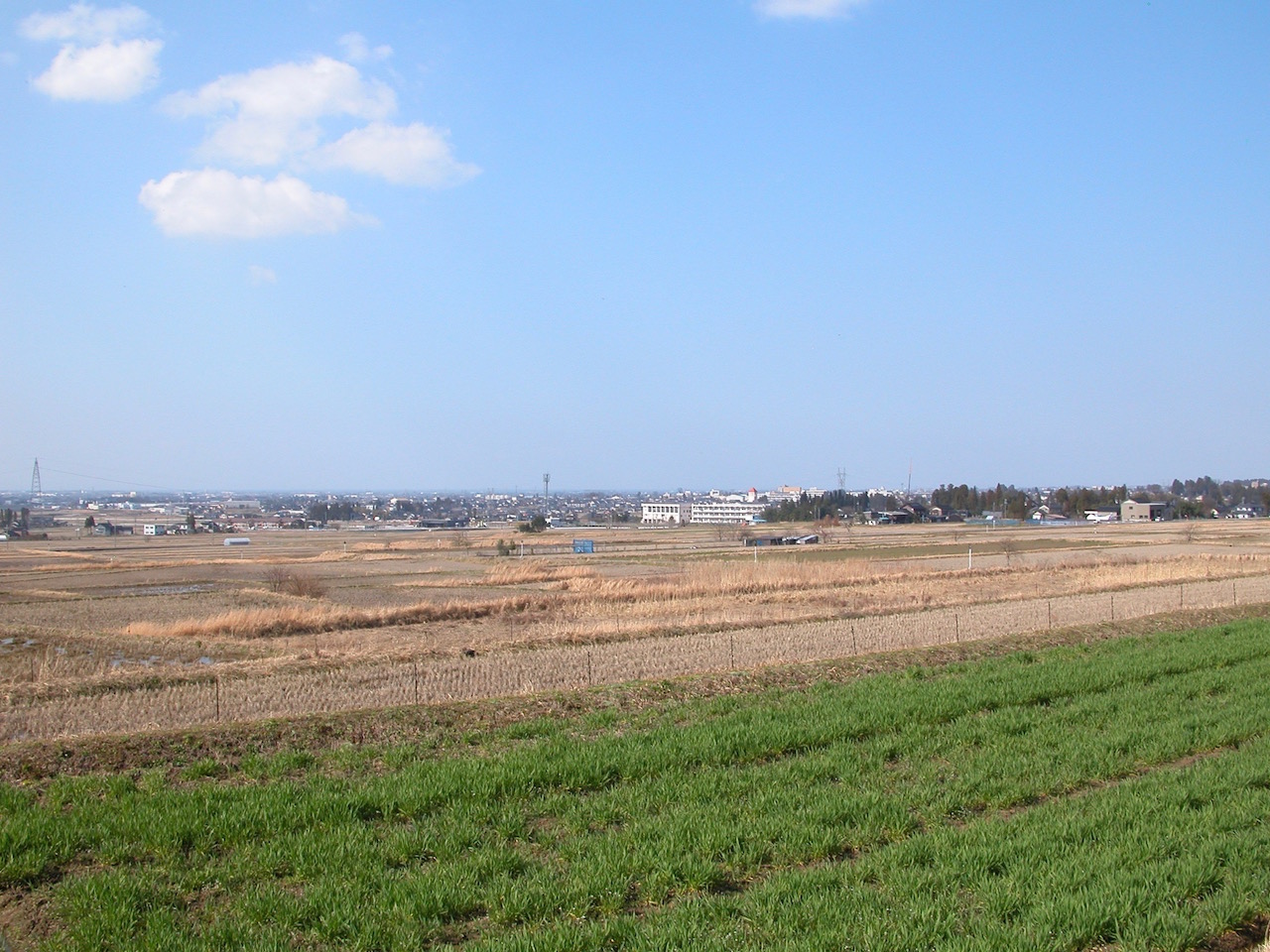 上市町舘の高台