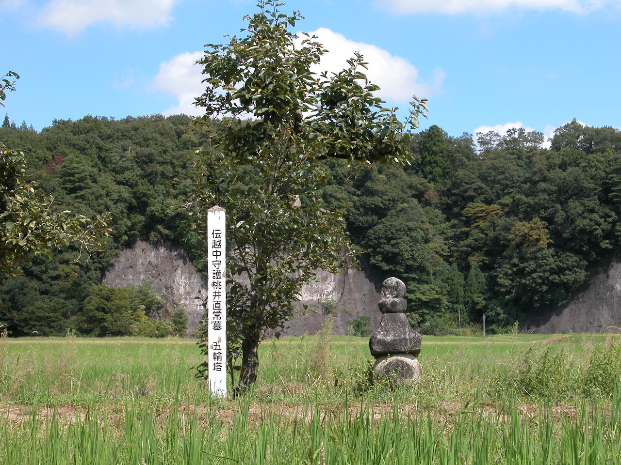 伝越中守護桃井直常墓