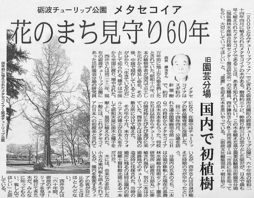 北日本新聞